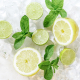 Mint Juice Recipes from Willow in NYC